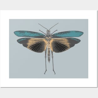 Moth in Pastel Colors Posters and Art